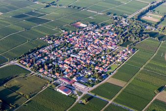 Vue aérienne de Champs agricoles et terres agricoles à Walsheim dans le département Rhénanie-Palatinat, Allemagne