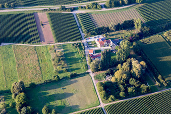 Vue aérienne de Walsheim dans le département Rhénanie-Palatinat, Allemagne