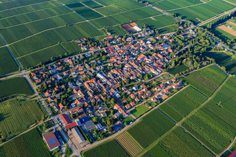 Vue aérienne de Vue du village entre les vignes depuis le sud-ouest à Walsheim dans le département Rhénanie-Palatinat, Allemagne