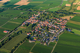 Vue aérienne de Vue du village entre les vignes depuis le sud-ouest sur l'A65 à Knöringen dans le département Rhénanie-Palatinat, Allemagne