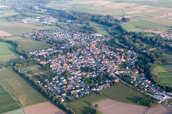 Photographie aérienne de Quartier Billigheim in Billigheim-Ingenheim dans le département Rhénanie-Palatinat, Allemagne