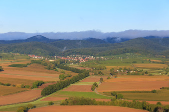 Vue aérienne de Haies à Otterbach à Oberotterbach dans le département Rhénanie-Palatinat, Allemagne