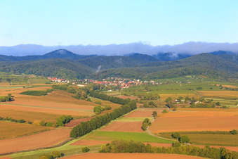 Vue aérienne de Haies à Otterbach à Oberotterbach dans le département Rhénanie-Palatinat, Allemagne
