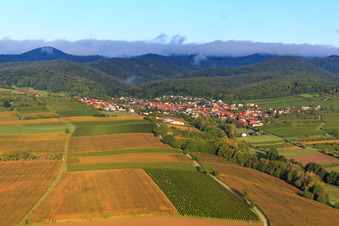 Vue aérienne de Vignes et champs sur l'Otterbach à Oberotterbach dans le département Rhénanie-Palatinat, Allemagne