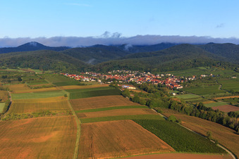 Vue aérienne de Vignes et champs sur l'Otterbach à Oberotterbach dans le département Rhénanie-Palatinat, Allemagne
