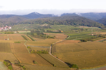 Quartier Rechtenbach in Schweigen-Rechtenbach dans le département Rhénanie-Palatinat, Allemagne vue du ciel
