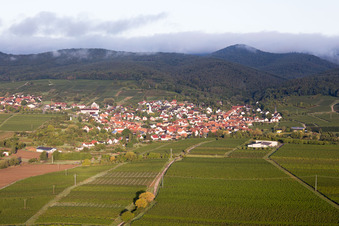 Enregistrement par drone de Quartier Rechtenbach in Schweigen-Rechtenbach dans le département Rhénanie-Palatinat, Allemagne