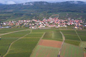 Vue d'oiseau de Quartier Schweigen in Schweigen-Rechtenbach dans le département Rhénanie-Palatinat, Allemagne