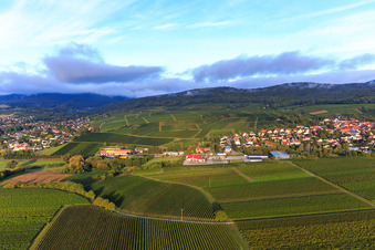 Vue aérienne de Bureau de tabac Zollheisel GmbH, PENNY et dm-drogerie markt à l'ancien poste frontière à le quartier Schweigen in Schweigen-Rechtenbach dans le département Rhénanie-Palatinat, Allemagne