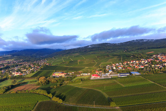 Vue aérienne de Bureau de tabac Zollheisel GmbH, PENNY et dm-drogerie markt à l'ancien poste frontière à le quartier Schweigen in Schweigen-Rechtenbach dans le département Rhénanie-Palatinat, Allemagne