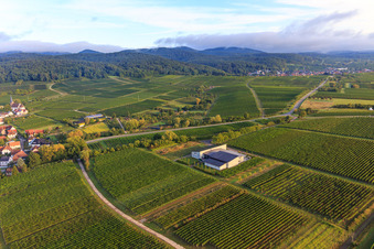 Vue aérienne de Domaine viticole Nauerth-Gnägy à le quartier Rechtenbach in Schweigen-Rechtenbach dans le département Rhénanie-Palatinat, Allemagne