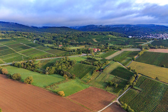 Vue aérienne de B38 à Dörrenbach dans le département Rhénanie-Palatinat, Allemagne