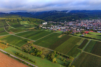 Vue aérienne de Vignobles au sud de la ville thermale à Dörrenbach dans le département Rhénanie-Palatinat, Allemagne