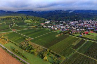 Vue aérienne de Vignobles au sud de la ville thermale à Dörrenbach dans le département Rhénanie-Palatinat, Allemagne