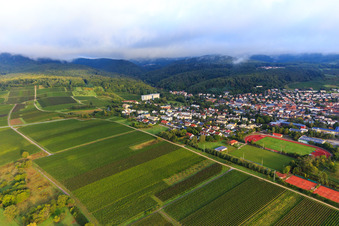 Vue aérienne de Vignobles au sud de la ville thermale à Bad Bergzabern dans le département Rhénanie-Palatinat, Allemagne