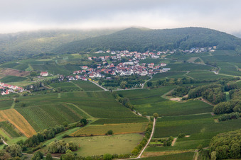 Vue d'oiseau de Quartier Gleiszellen in Gleiszellen-Gleishorbach dans le département Rhénanie-Palatinat, Allemagne