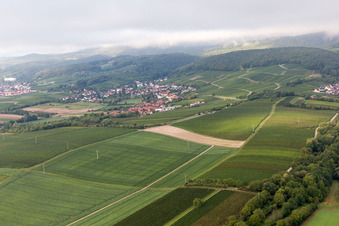 Vue aérienne de Quartier Oberhofen in Pleisweiler-Oberhofen dans le département Rhénanie-Palatinat, Allemagne
