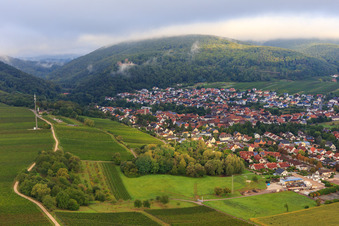 Vue aérienne de Vignobles à la limite sud du village à Klingenmünster dans le département Rhénanie-Palatinat, Allemagne