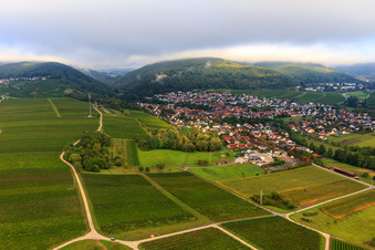 Vue aérienne de Vignobles à la limite sud du village à Klingenmünster dans le département Rhénanie-Palatinat, Allemagne