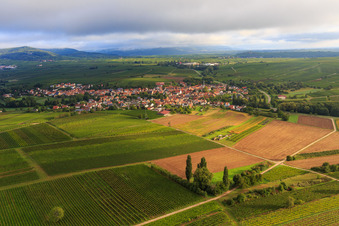 Vue aérienne de Vue du village depuis le sud à Göcklingen dans le département Rhénanie-Palatinat, Allemagne