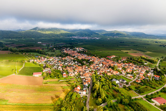 Vue aérienne de Dans la lumière du matin devant des nuages bas à Göcklingen dans le département Rhénanie-Palatinat, Allemagne