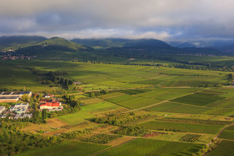 Vue aérienne de Vignobles du Hirtenbrunner Hof à Ilbesheim bei Landau dans le département Rhénanie-Palatinat, Allemagne