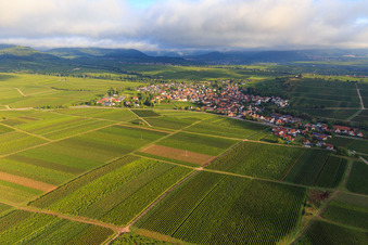 Vue aérienne de Vignobles à la limite sud du village à Ilbesheim bei Landau dans le département Rhénanie-Palatinat, Allemagne
