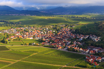 Vue aérienne de Vignobles à la limite sud du village à Ilbesheim bei Landau dans le département Rhénanie-Palatinat, Allemagne