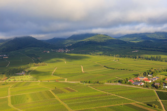 Photographie aérienne de Vignobles à la limite sud du village à Ilbesheim bei Landau dans le département Rhénanie-Palatinat, Allemagne