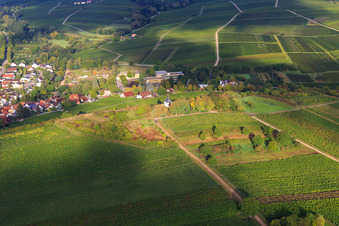 Vue aérienne de Chapelle Kleine Kalmit vue de l'est à le quartier Arzheim in Landau in der Pfalz dans le département Rhénanie-Palatinat, Allemagne