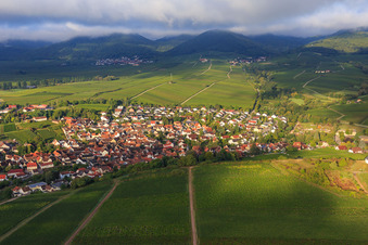 Vue aérienne de Ville viticole de l'est à Ilbesheim bei Landau dans le département Rhénanie-Palatinat, Allemagne