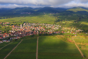 Vue aérienne de Ville viticole de l'est à Ilbesheim bei Landau dans le département Rhénanie-Palatinat, Allemagne