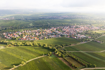 Vue aérienne de Quartier Arzheim in Landau in der Pfalz dans le département Rhénanie-Palatinat, Allemagne