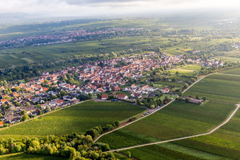 Vue aérienne de Quartier Arzheim in Landau in der Pfalz dans le département Rhénanie-Palatinat, Allemagne