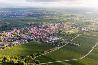 Photographie aérienne de Quartier Arzheim in Landau in der Pfalz dans le département Rhénanie-Palatinat, Allemagne