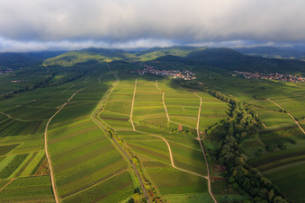 Vue aérienne de Ranschbachtal vu de l'est à le quartier Arzheim in Landau in der Pfalz dans le département Rhénanie-Palatinat, Allemagne