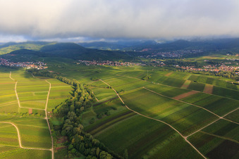 Vue aérienne de Ranschbachtal vu de l'est à le quartier Arzheim in Landau in der Pfalz dans le département Rhénanie-Palatinat, Allemagne
