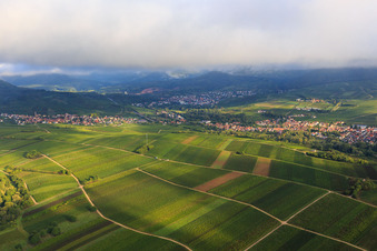 Vue aérienne de Vignobles entre Birkweiler et Siebeldingen à le quartier Arzheim in Landau in der Pfalz dans le département Rhénanie-Palatinat, Allemagne