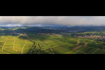 Vue aérienne de Panorama des vignobles entre Ranschbach et Siebeldingen à le quartier Arzheim in Landau in der Pfalz dans le département Rhénanie-Palatinat, Allemagne