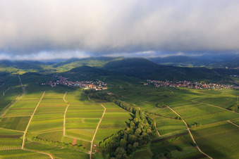 Photographie aérienne de Ranschbachtal vu de l'est à le quartier Arzheim in Landau in der Pfalz dans le département Rhénanie-Palatinat, Allemagne