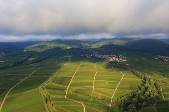 Vue oblique de Ranschbachtal vu de l'est à le quartier Arzheim in Landau in der Pfalz dans le département Rhénanie-Palatinat, Allemagne