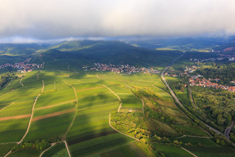 Vue aérienne de Vignobles entre Birkweiler et Siebeldingen depuis l'est à Birkweiler dans le département Rhénanie-Palatinat, Allemagne