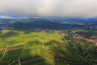 Vue aérienne de Vignobles entre Birkweiler et Siebeldingen depuis l'est à le quartier Arzheim in Landau in der Pfalz dans le département Rhénanie-Palatinat, Allemagne