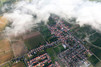 Vue oblique de Quartier Dammheim in Landau in der Pfalz dans le département Rhénanie-Palatinat, Allemagne