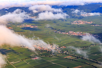 Vue aérienne de Vue du village au milieu des vignes depuis le sud-est à Walsheim dans le département Rhénanie-Palatinat, Allemagne