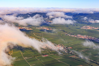 Vue aérienne de Vue du village au milieu des vignes depuis le sud-est à Walsheim dans le département Rhénanie-Palatinat, Allemagne