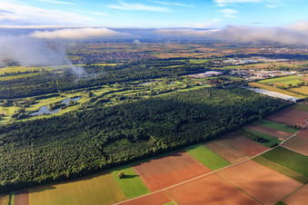 Vue d'oiseau de Terrain de golf Landgut Dreihof - GOLF absolu à le quartier Dreihof in Essingen dans le département Rhénanie-Palatinat, Allemagne