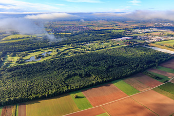 Terrain de golf Landgut Dreihof - GOLF absolu à le quartier Dreihof in Essingen dans le département Rhénanie-Palatinat, Allemagne vue du ciel