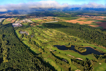 Vue aérienne de Terrain de golf Landgut Dreihof - GOLF absolu le matin depuis le sud-est à Essingen dans le département Rhénanie-Palatinat, Allemagne