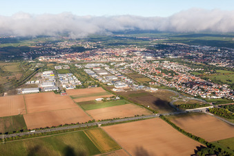 Vue aérienne de LD-Queicheim à le quartier Queichheim in Landau in der Pfalz dans le département Rhénanie-Palatinat, Allemagne